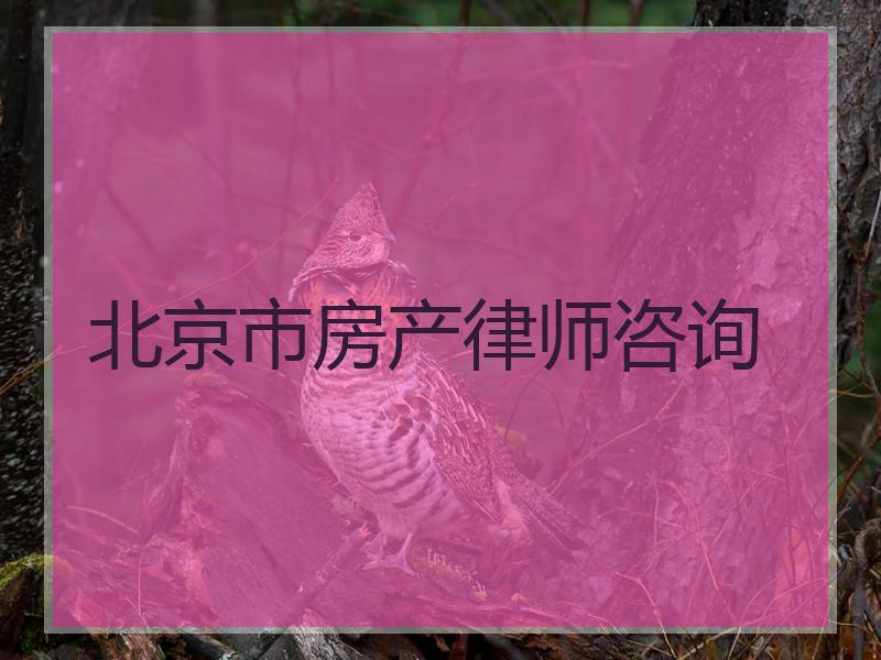 北京市房产律师咨询