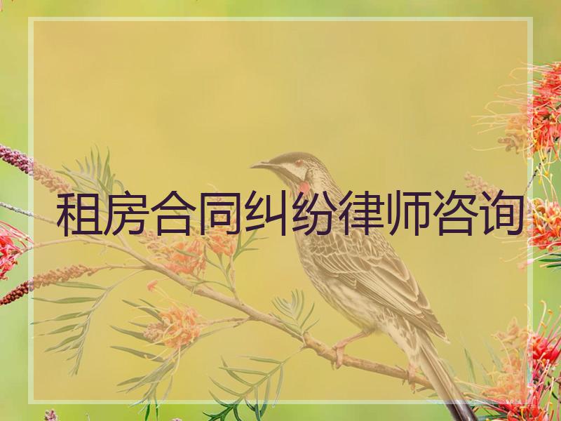 租房合同纠纷律师咨询