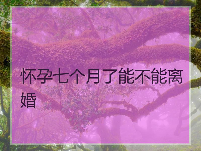 怀孕七个月了能不能离婚