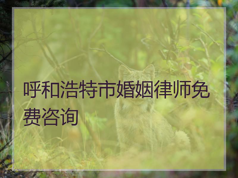 呼和浩特市婚姻律师免费咨询