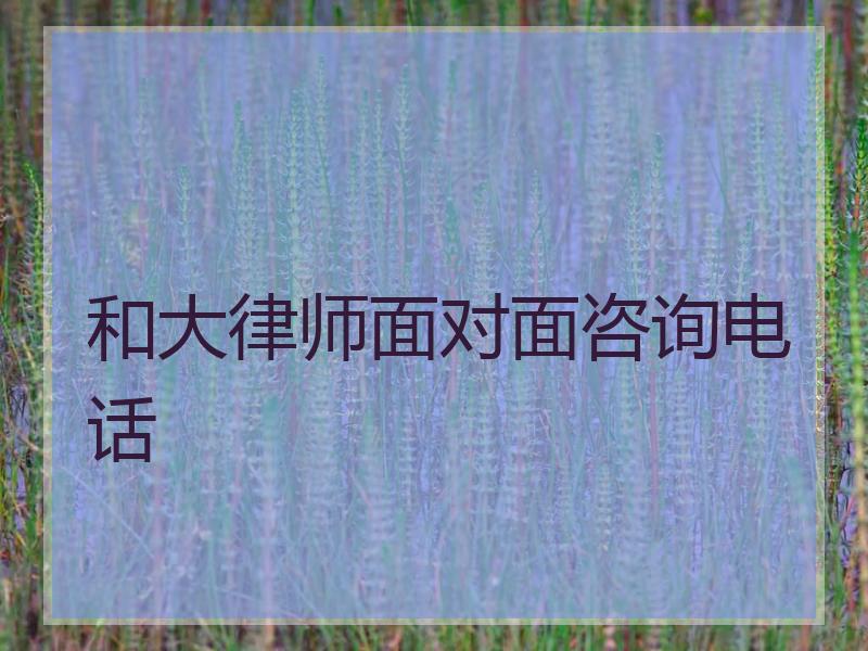 和大律师面对面咨询电话