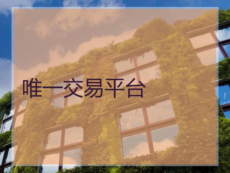 唯一交易平台