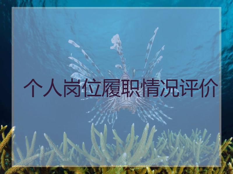 个人岗位履职情况评价