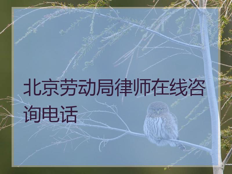 北京劳动局律师在线咨询电话