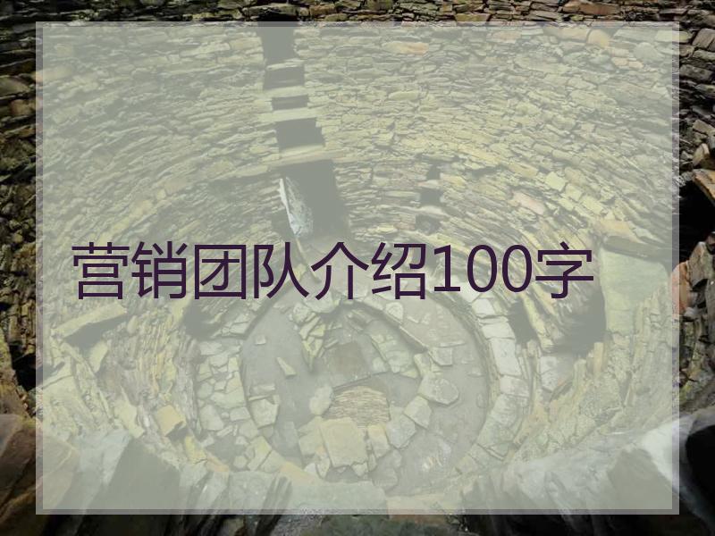 营销团队介绍100字