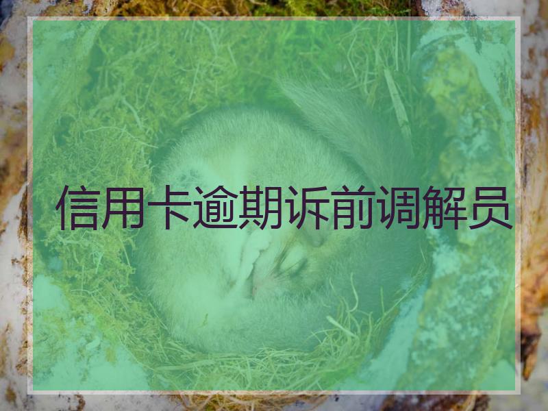 信用卡逾期诉前调解员