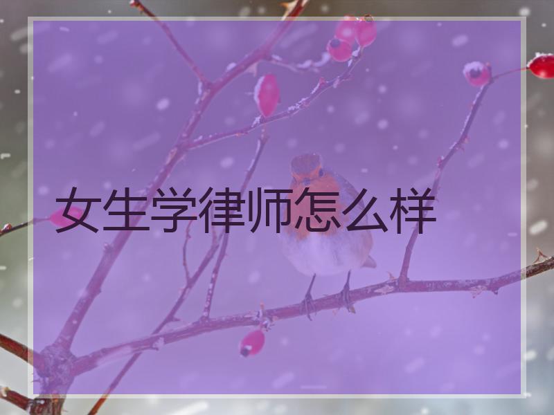 女生学律师怎么样