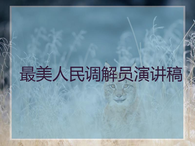 最美人民调解员演讲稿