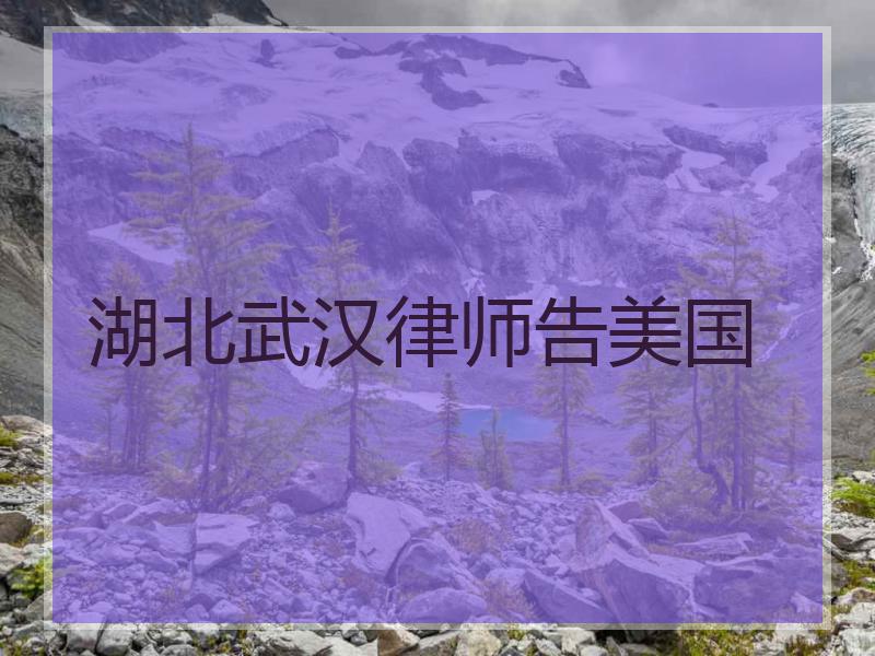 湖北武汉律师告美国