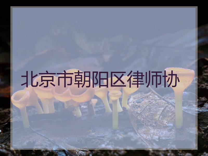 北京市朝阳区律师协