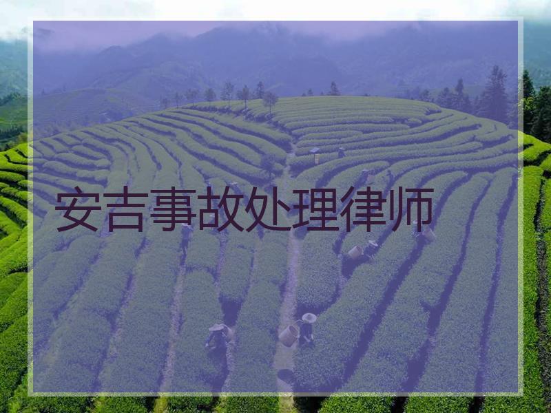 安吉事故处理律师