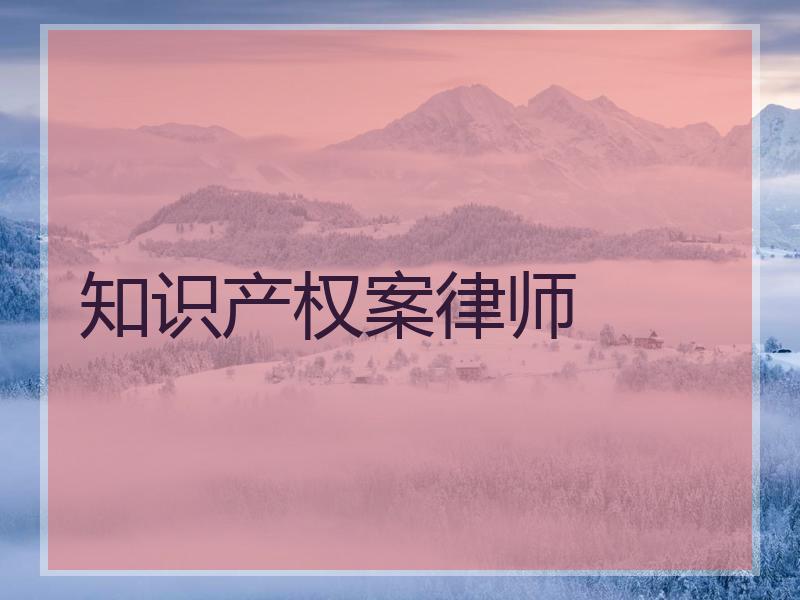 知识产权案律师