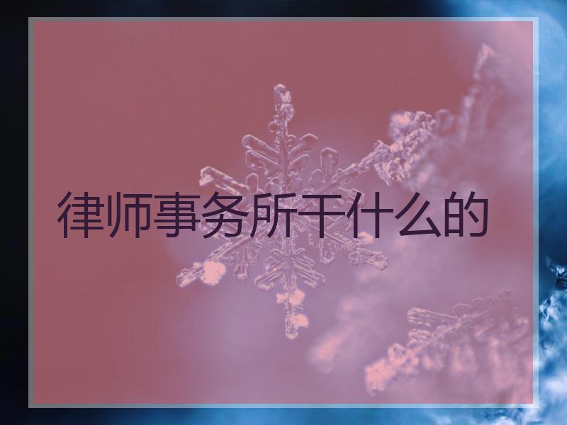 律师事务所干什么的