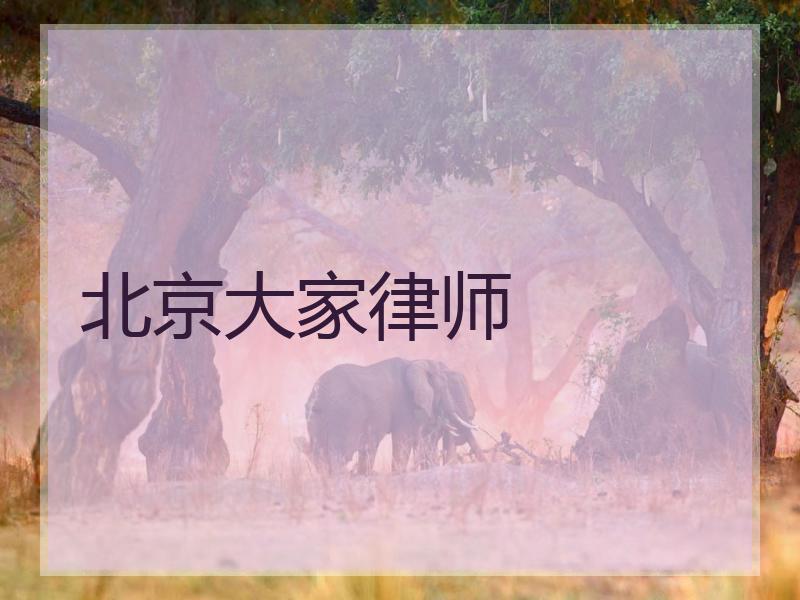 北京大家律师