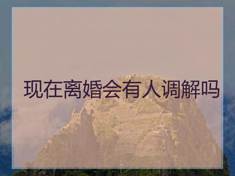 现在离婚会有人调解吗