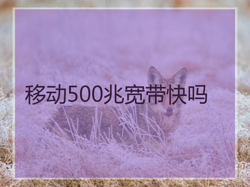 移动500兆宽带快吗