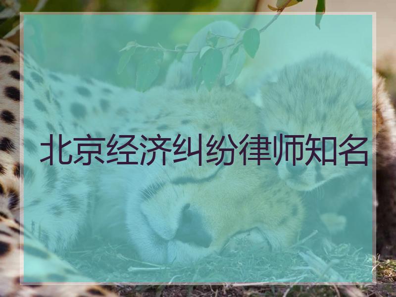 北京经济纠纷律师知名