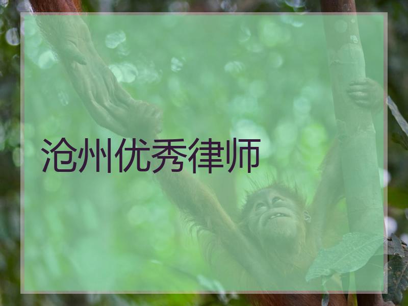 沧州优秀律师