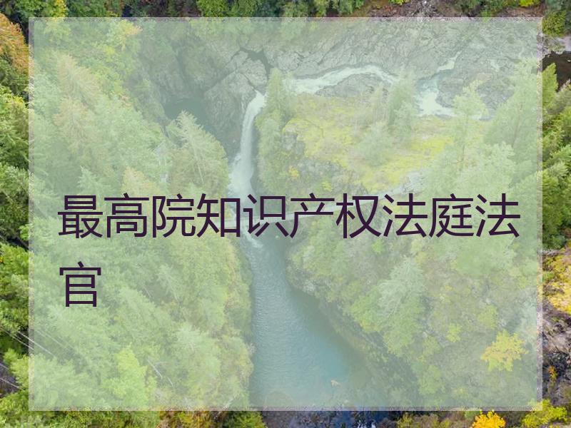 最高院知识产权法庭法官