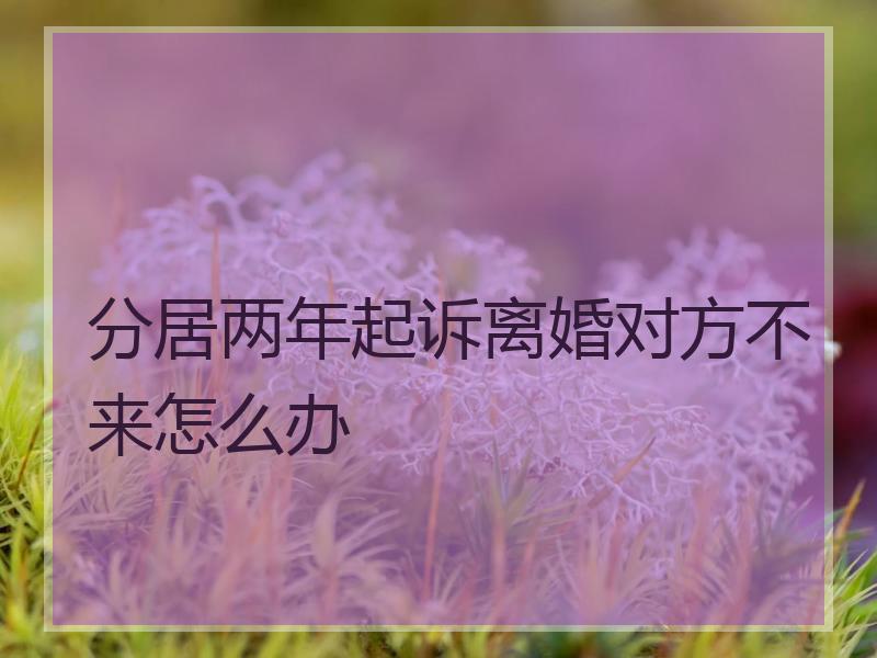 分居两年起诉离婚对方不来怎么办
