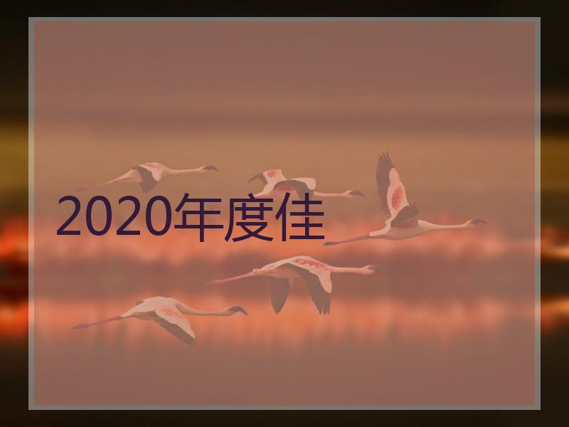 2020年度佳