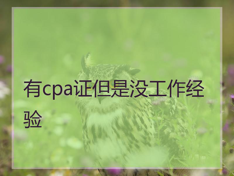 有cpa证但是没工作经验