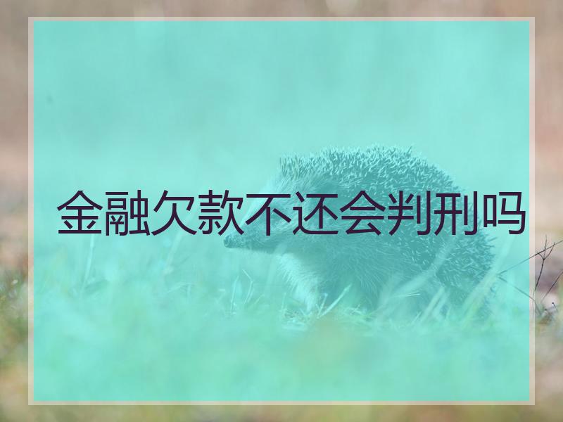 金融欠款不还会判刑吗