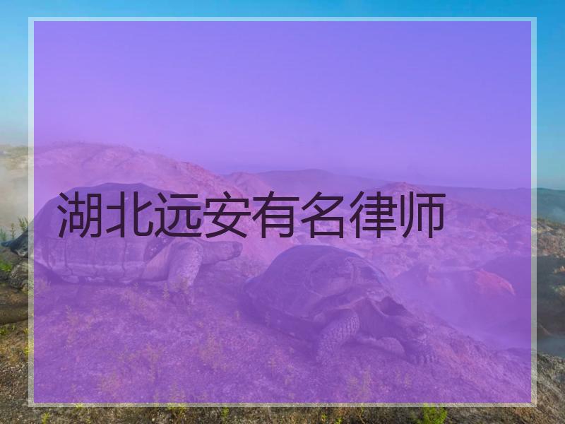 湖北远安有名律师