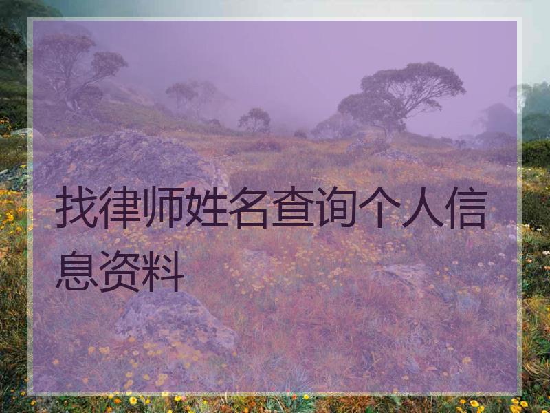 找律师姓名查询个人信息资料