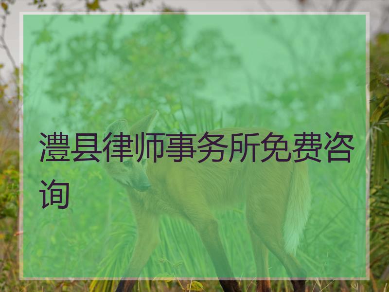 澧县律师事务所免费咨询