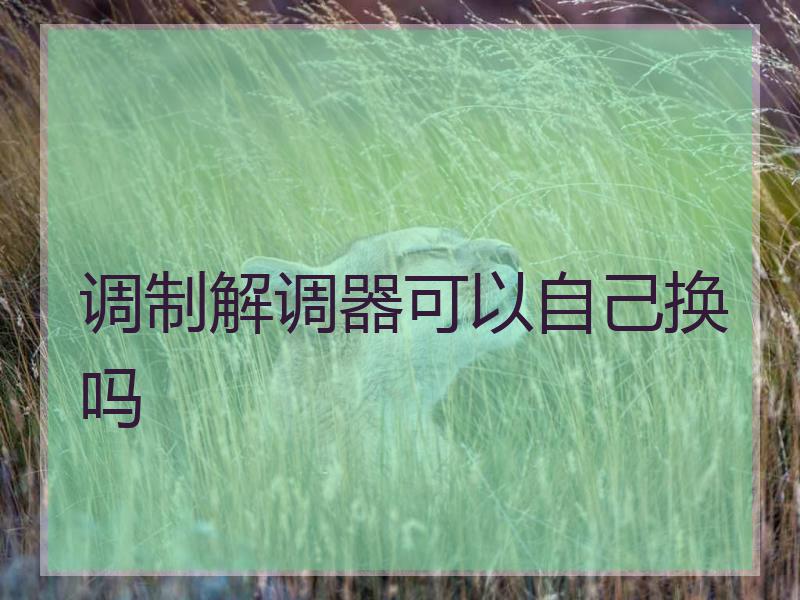 调制解调器可以自己换吗