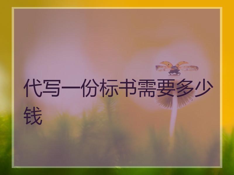 代写一份标书需要多少钱