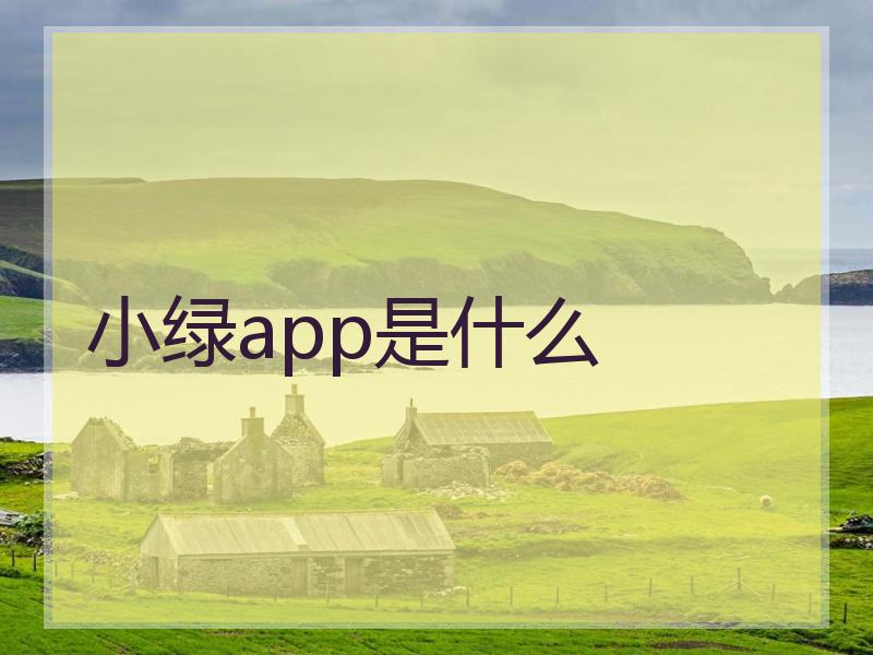 小绿app是什么