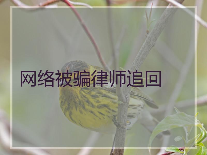 网络被骗律师追回