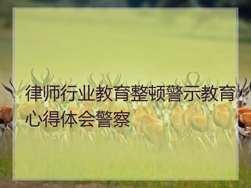 律师行业教育整顿警示教育心得体会警察