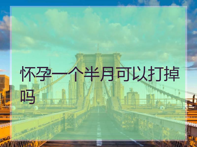 怀孕一个半月可以打掉吗