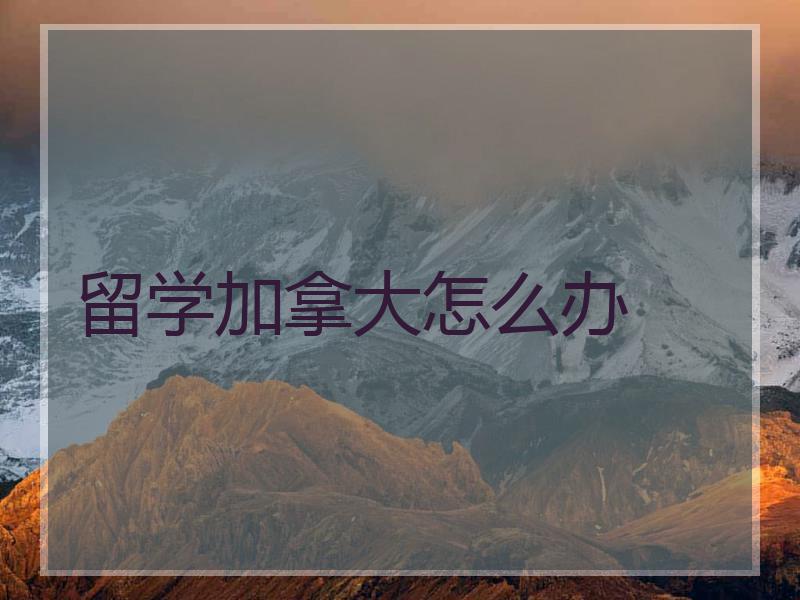 留学加拿大怎么办