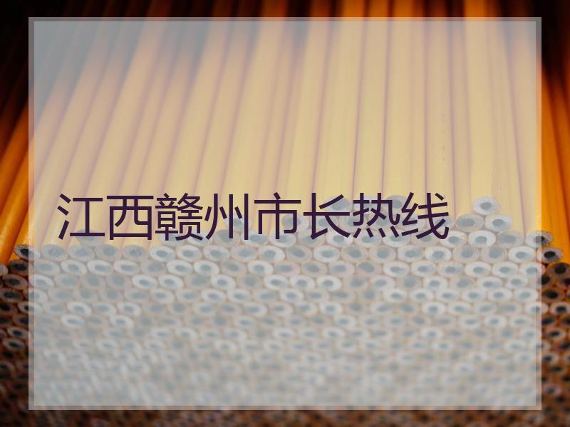 江西赣州市长热线