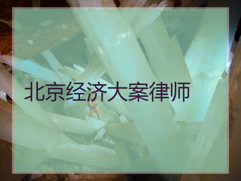 北京经济大案律师