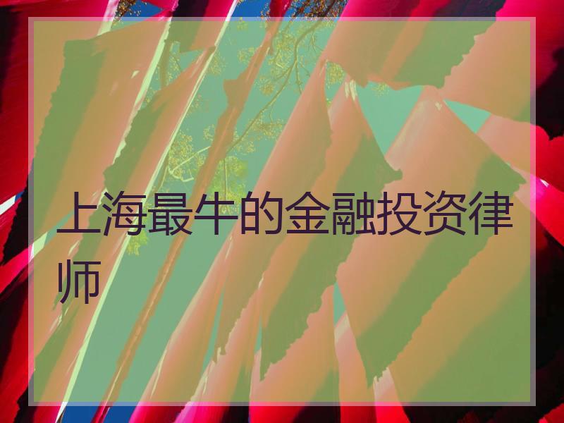 上海最牛的金融投资律师