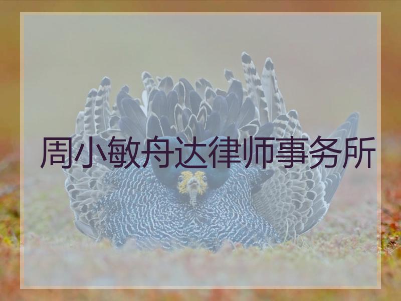 周小敏舟达律师事务所