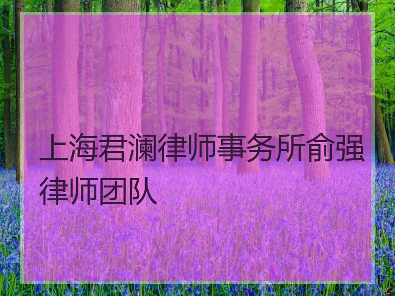 上海君澜律师事务所俞强律师团队