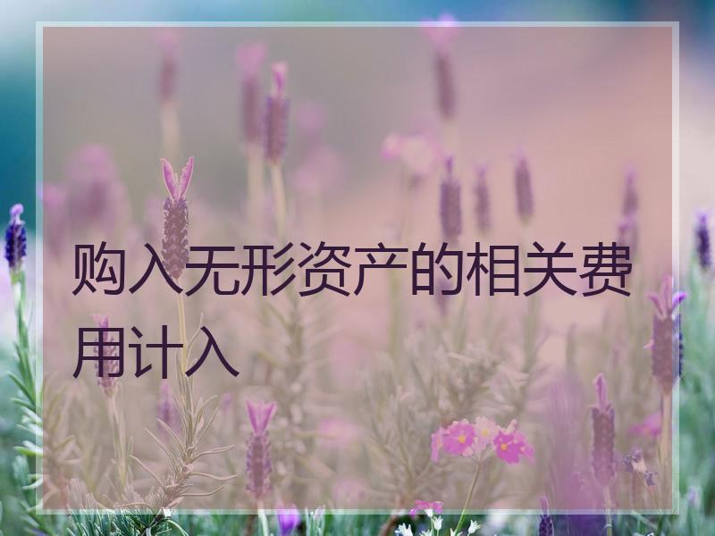 购入无形资产的相关费用计入