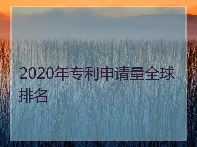 2020年专利申请量全球排名