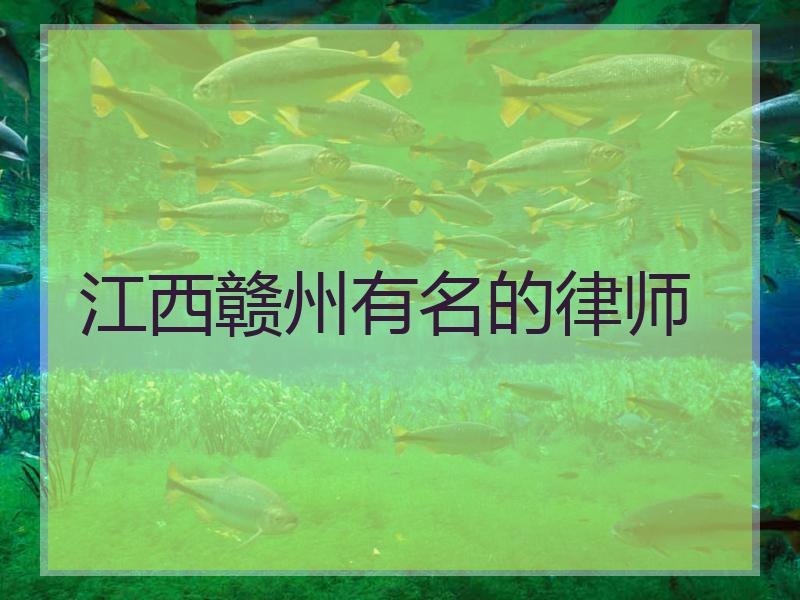 江西赣州有名的律师