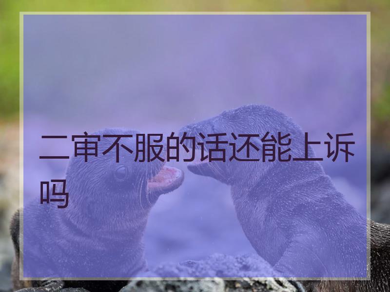 二审不服的话还能上诉吗