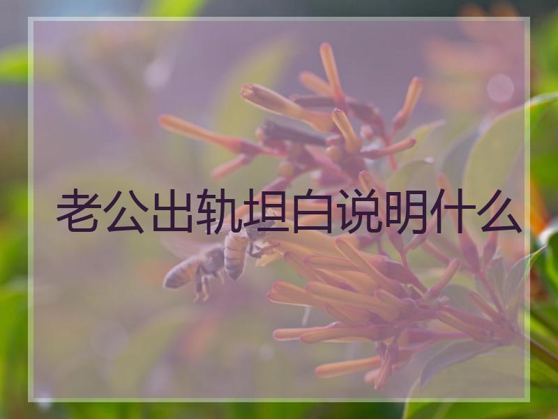 老公出轨坦白说明什么