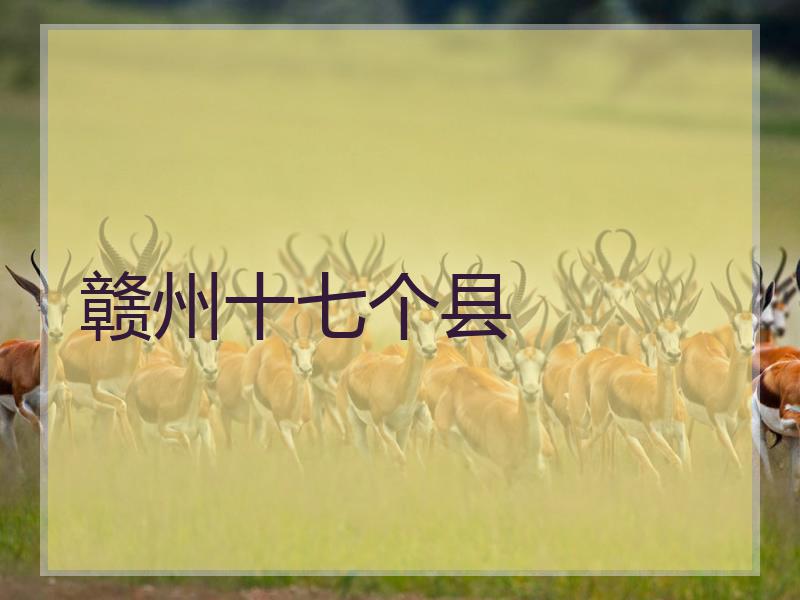 赣州十七个县
