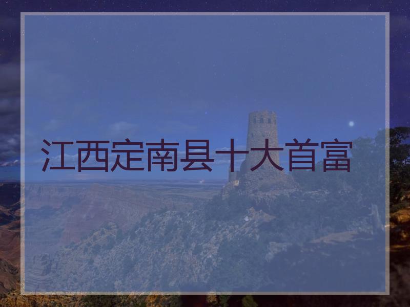 江西定南县十大首富