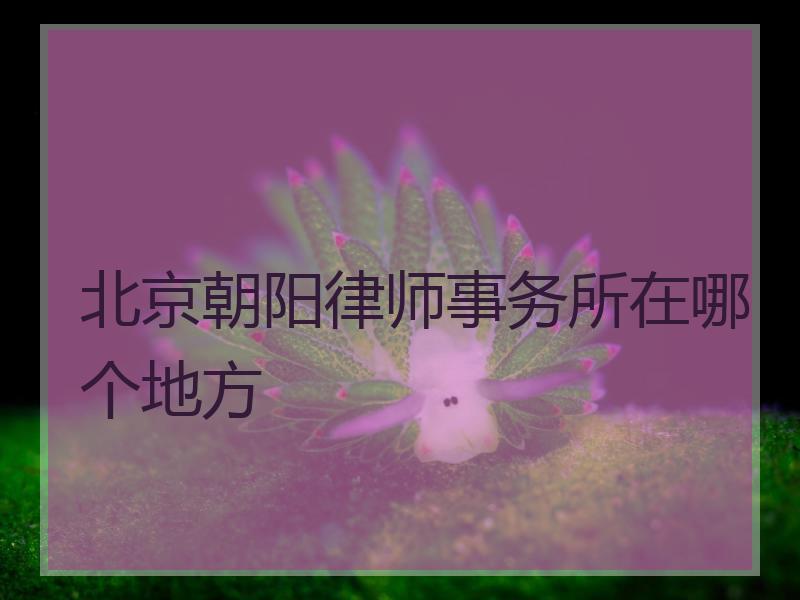 北京朝阳律师事务所在哪个地方